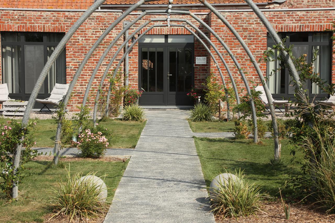 Chambres D'Hotes Herbes Folles Steenwerck Eksteriør billede