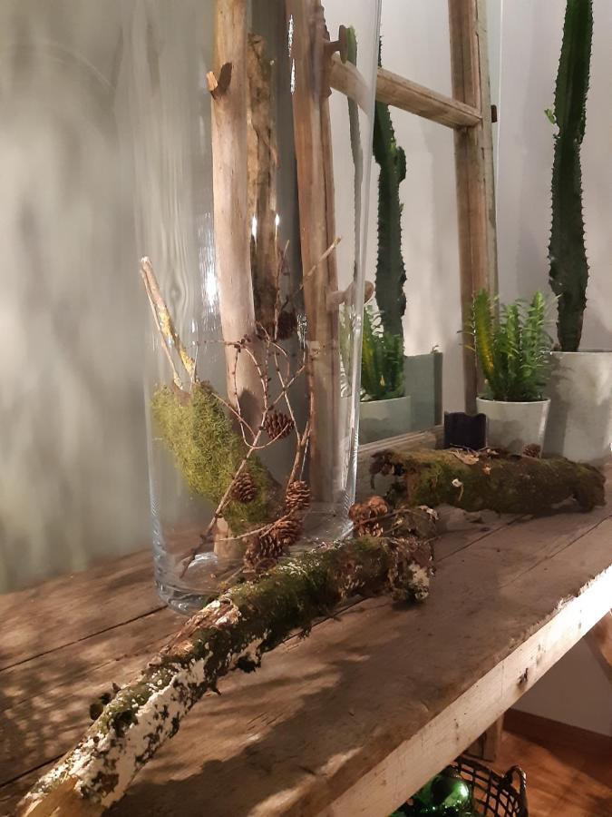 Chambres D'Hotes Herbes Folles Steenwerck Eksteriør billede